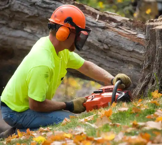 tree services Baraga